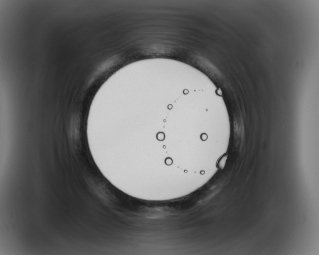 X0000086110396200704132213