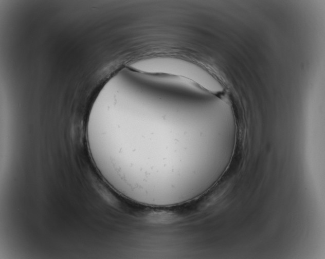 X0000086110397200704132213