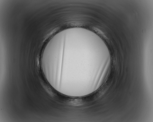 X0000086110398200704132213