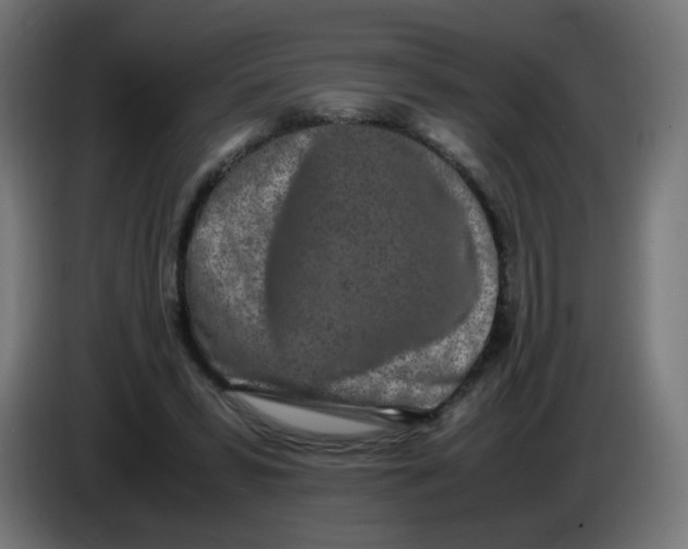 X0000086110399200704132213