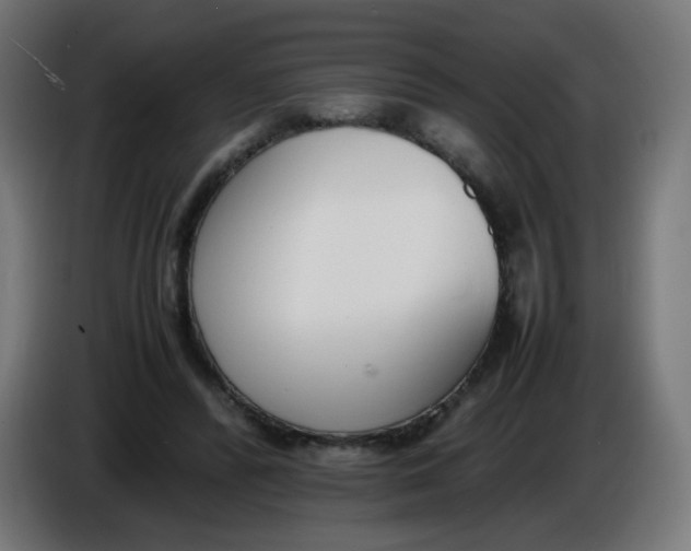 X0000086110400200704132213