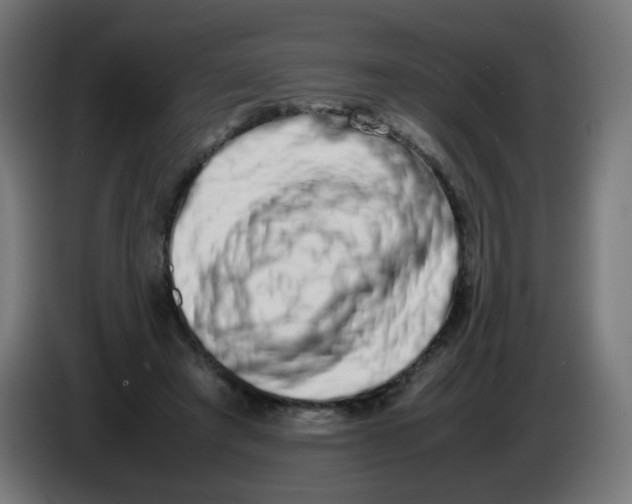 X0000086110401200704132213