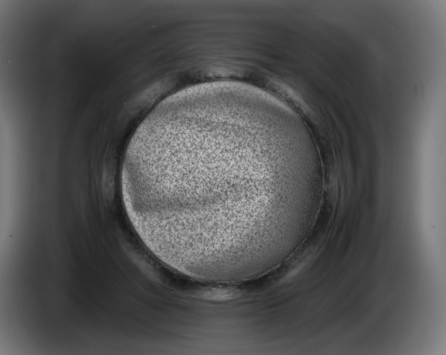 X0000086110402200704132213