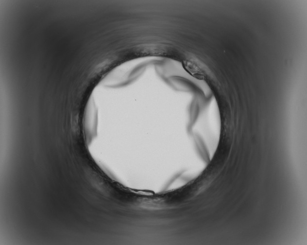 X0000086110403200704132213