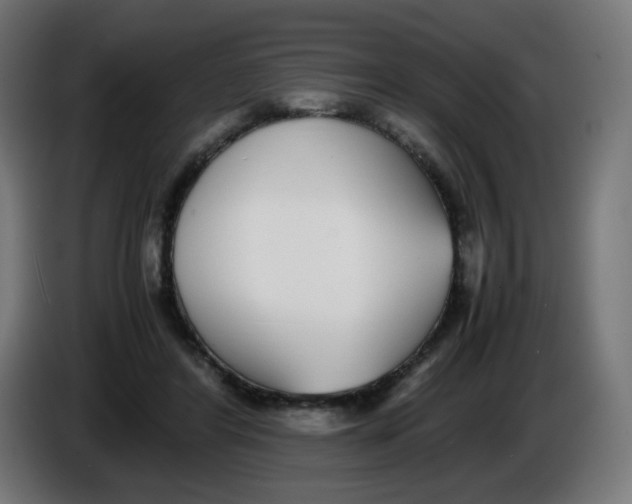 X0000086110404200704132213