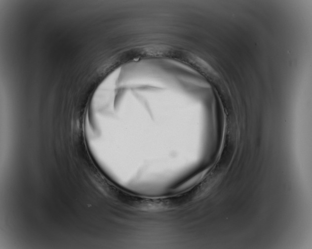 X0000086110405200704132213