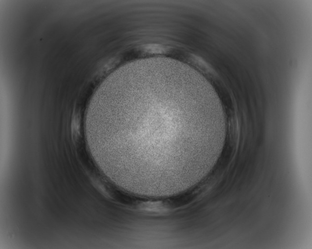 X0000086110406200704132213