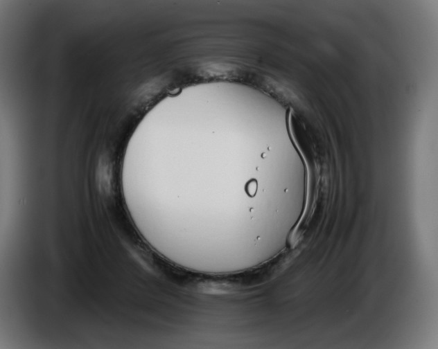 X0000086110408200704132213