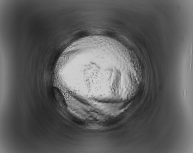 X0000086110409200704132213