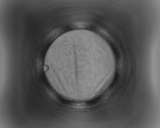 X0000086110410200704132213