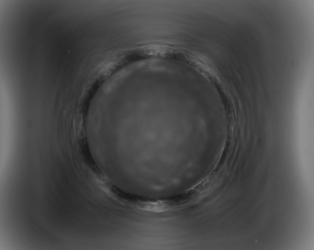 X0000086110411200704132213