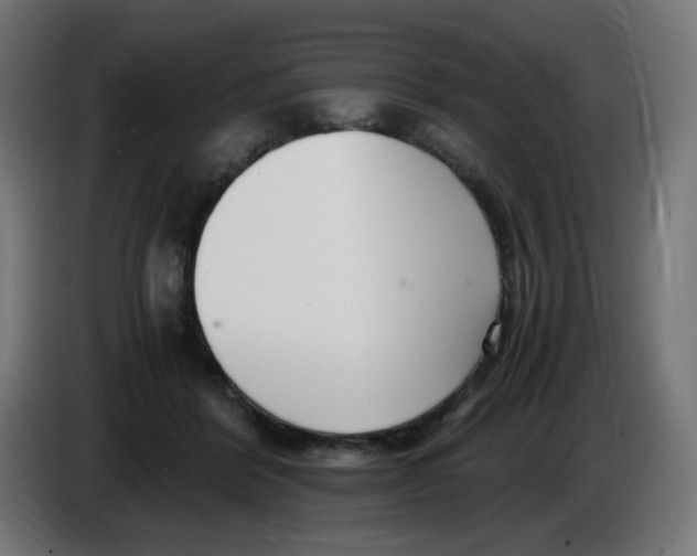 X0000086110412200704132213