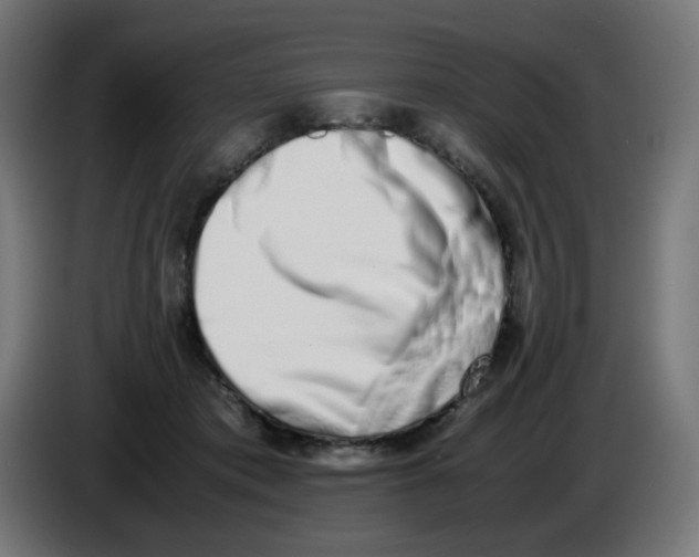 X0000086110413200704132213