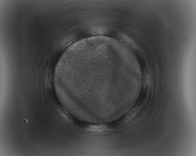 X0000086110414200704132213