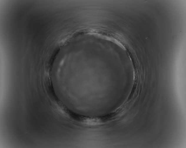 X0000086110415200704132213