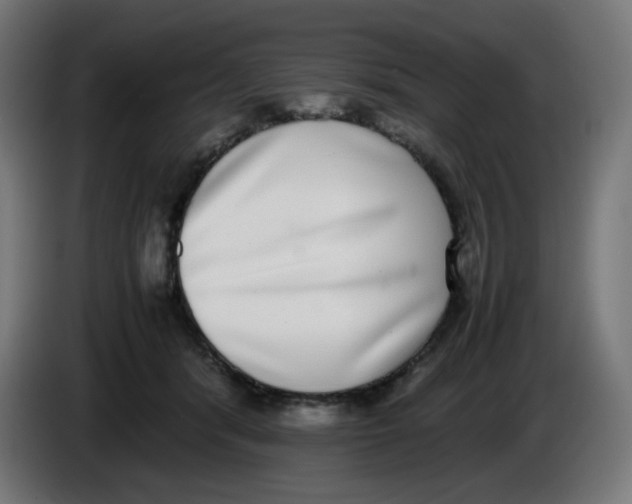 X0000086110416200704132213