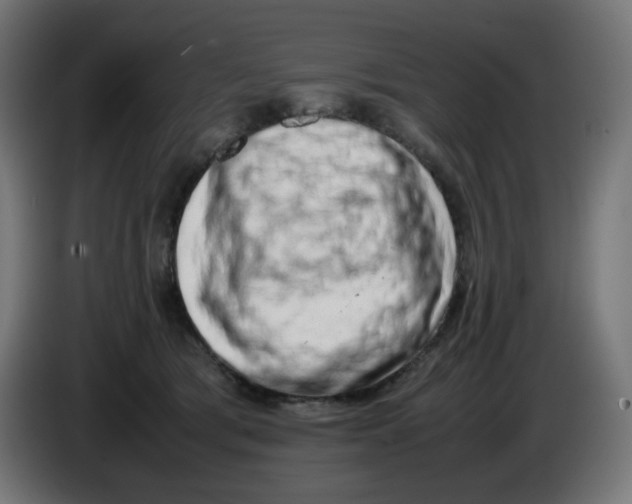 X0000086110417200704132213