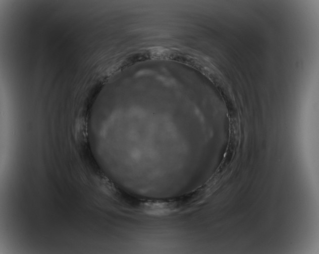 X0000086110419200704132213