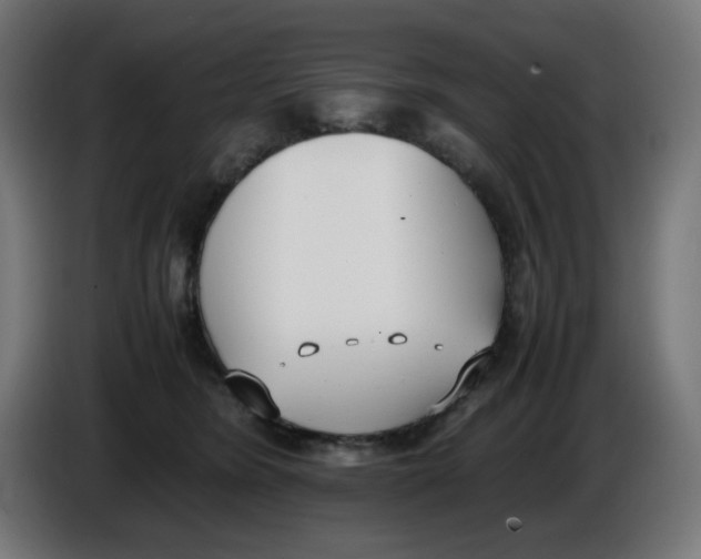 X0000086110420200704132213