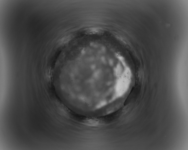 X0000086110423200704132213