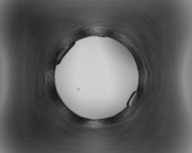 X0000086110425200704132213