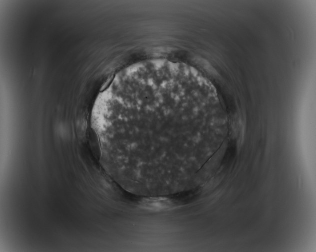 X0000086110427200704132213