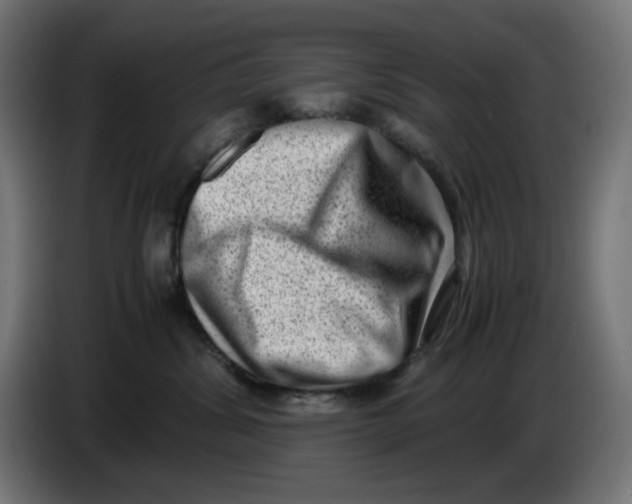 X0000086110428200704132213