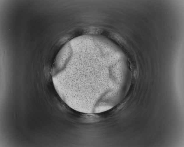 X0000086110429200704132213