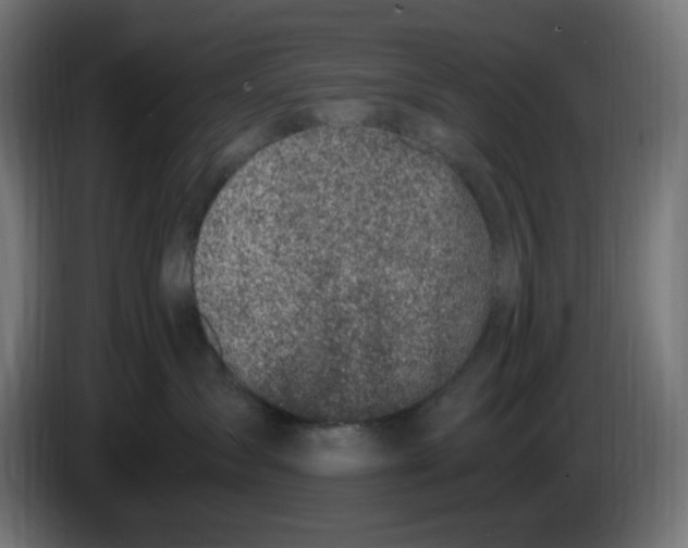 X0000086110431200704132213