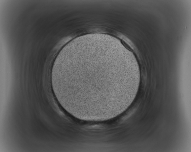 X0000086110433200704132212