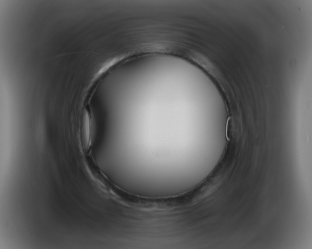 X0000086110434200704132212