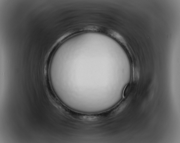 X0000086110435200704132212