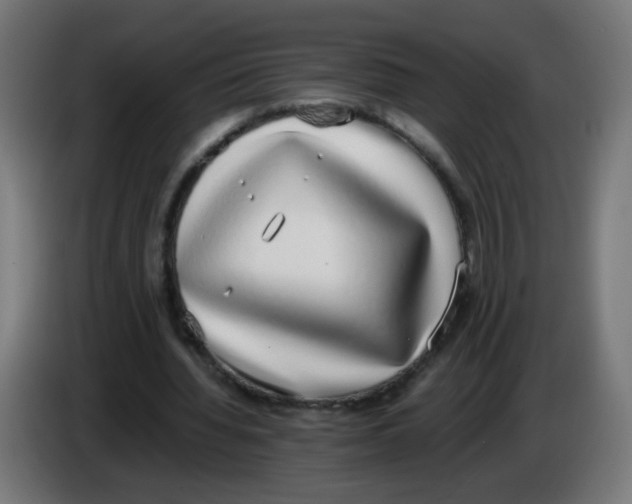 X0000086110436200704132212