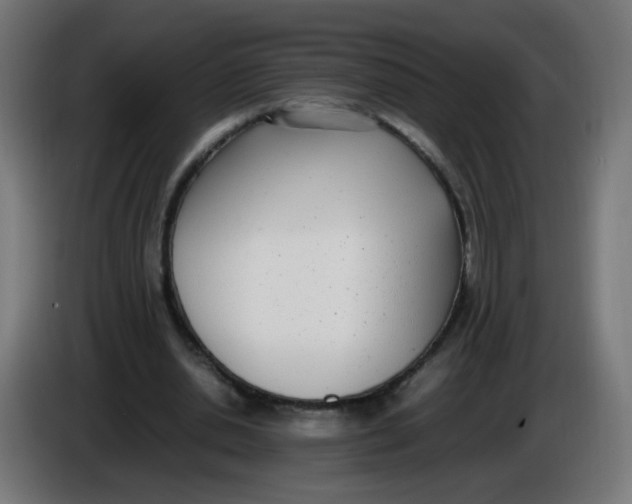 X0000086110438200704132212