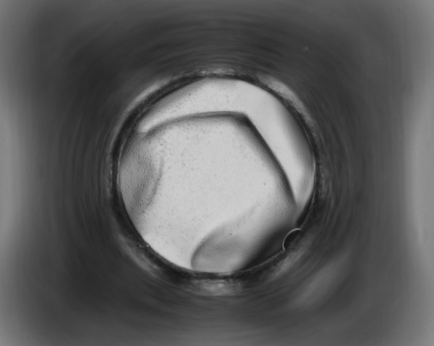 X0000086110439200704132212