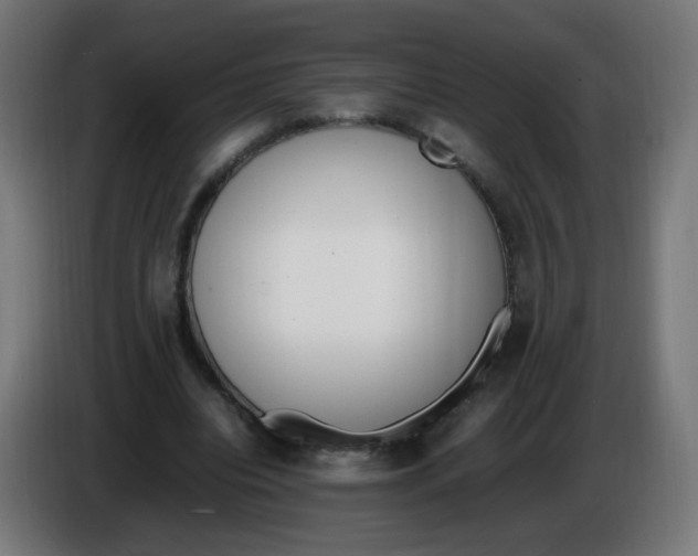 X0000086110440200704132212