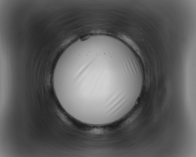 X0000086110441200704132212