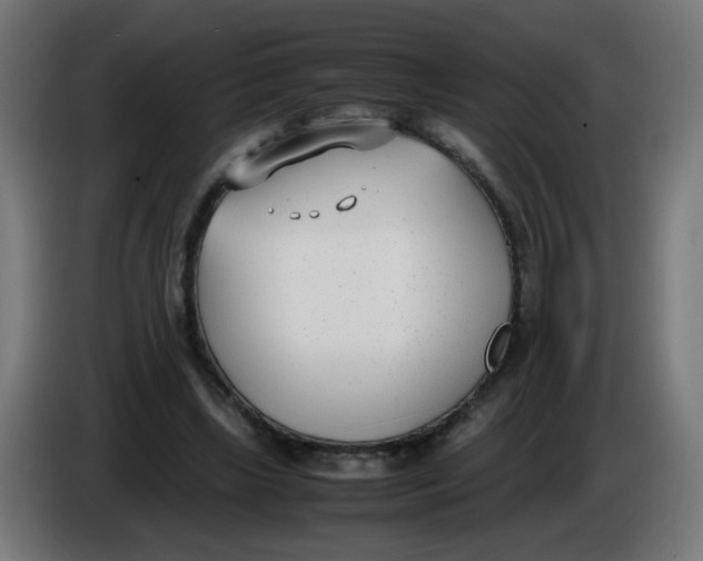 X0000086110443200704132212