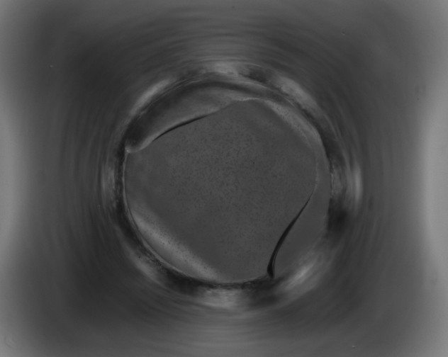 X0000086110444200704132212