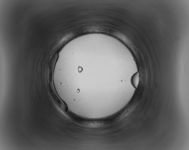 X0000086110445200704132212