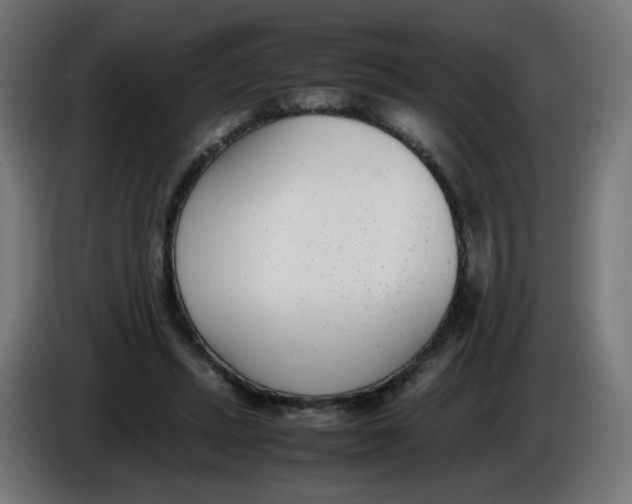 X0000086110447200704132212