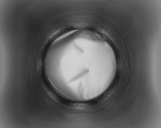 X0000086110448200704132212