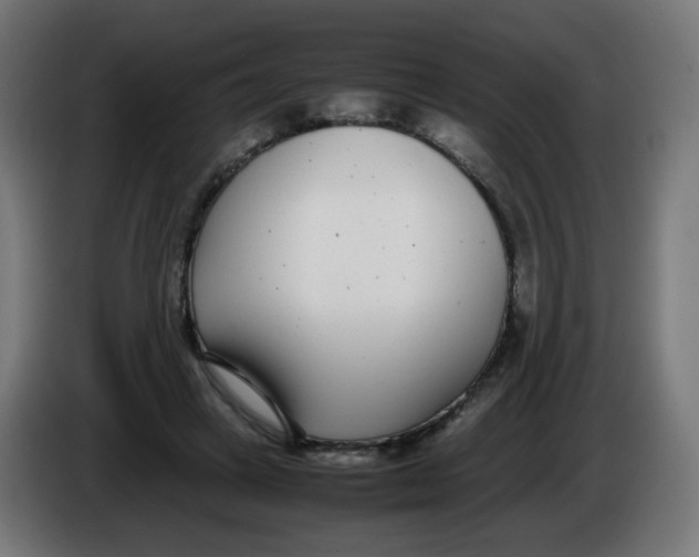 X0000086110449200704132213