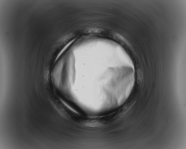 X0000086110451200704132213