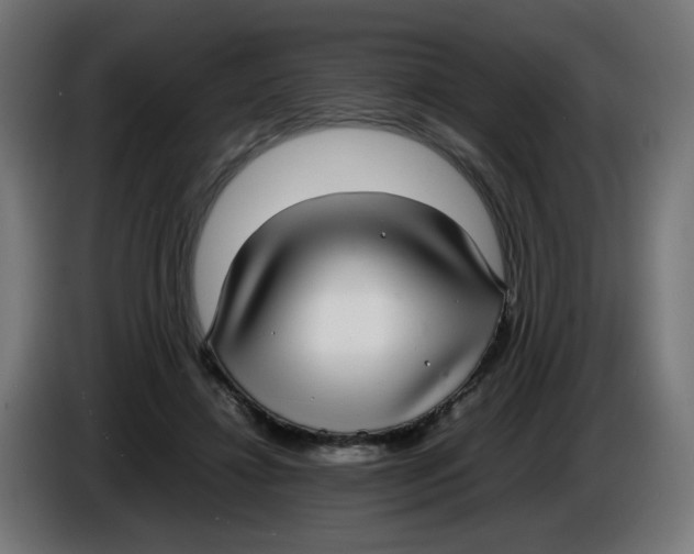 X0000086110452200704132213