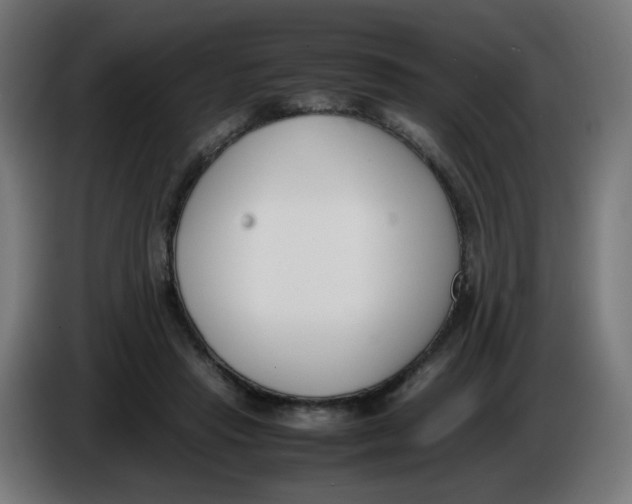 X0000086110453200704132213