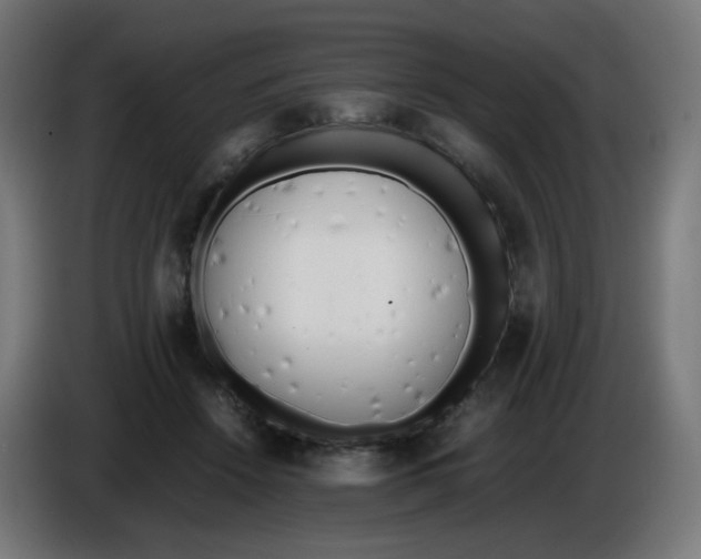 X0000086110456200704132213