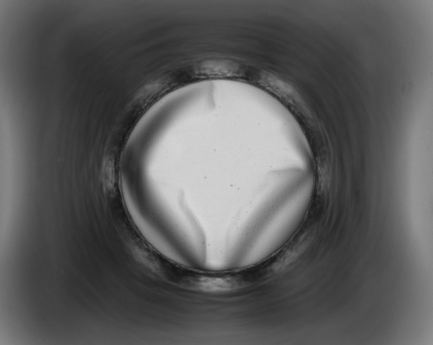 X0000086110457200704132213