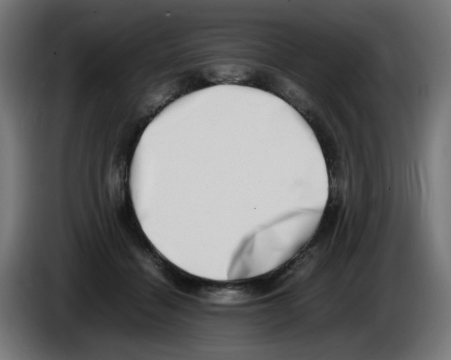 X0000086110460200704132213