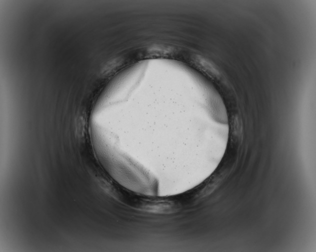 X0000086110463200704132213